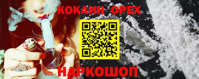 стаф Новокубанск
