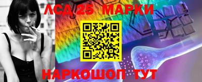 стаф Новокубанск