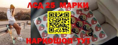 стаф Новокубанск