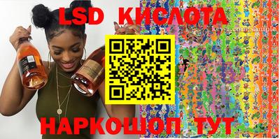 стаф Новокубанск